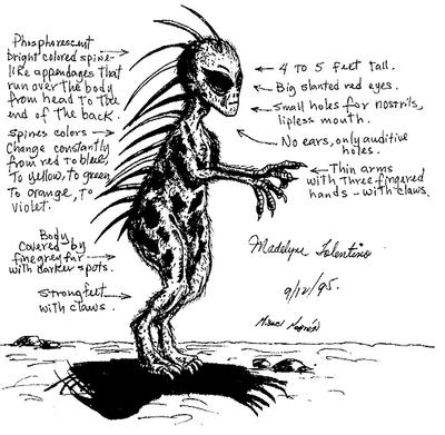 Chupacabra (4).jpg